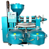 YZLXQ Series Precision Filtration Combined Oil Press